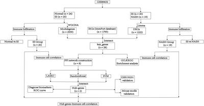 Expression of immune related genes and possible regulatory mechanisms in different stages of non-alcoholic fatty liver disease